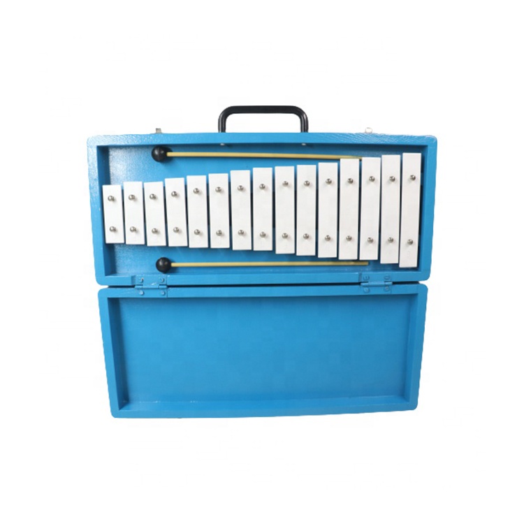 Glockenspiel Xylophone Name Li - Musical Instrument With Name review and price