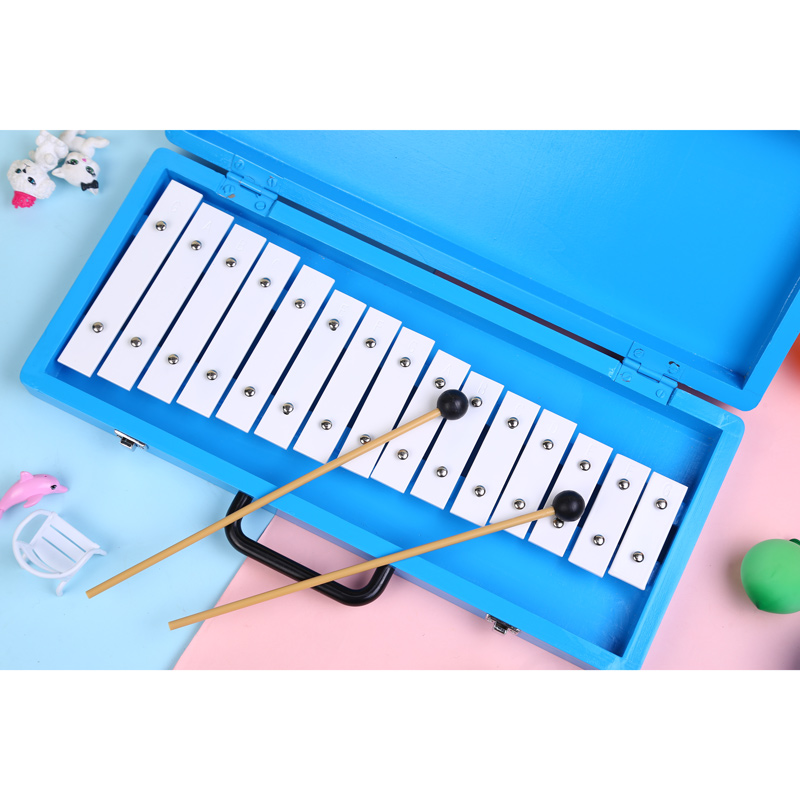 Glockenspiel Xylophone Name Li - Musical Instrument With Name review and price