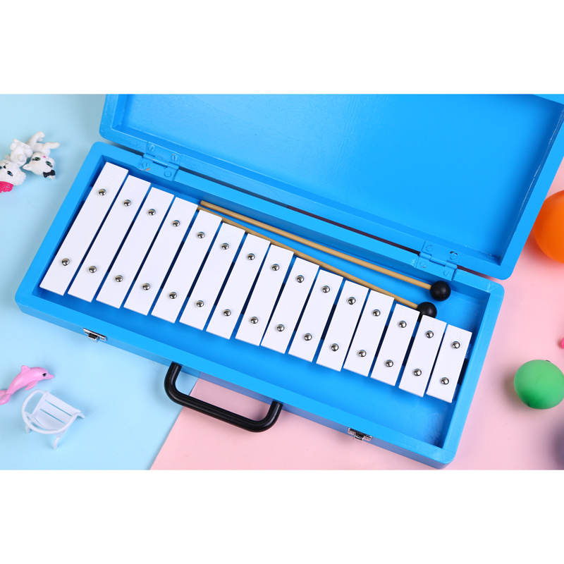 Glockenspiel Xylophone Name Li - Musical Instrument With Name review and price