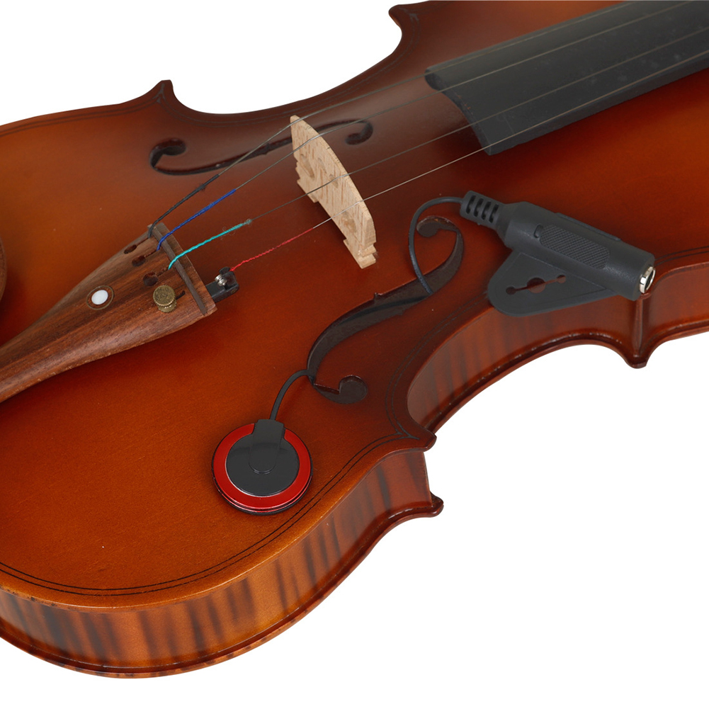 For Musical Instruments Instru - Musical Instrument With Name review and price